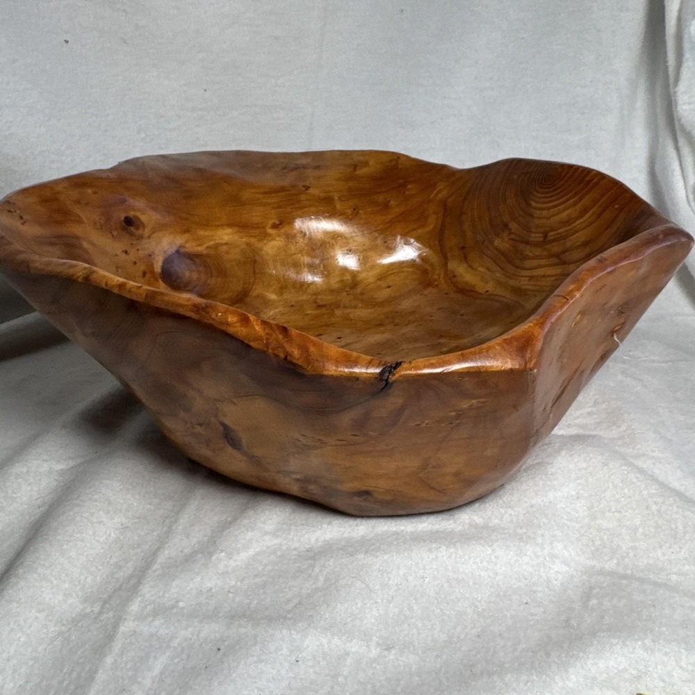 Vintage Rustic Handmade Artisan Organic Natural Burl Wood Root Bowl 12" Planter